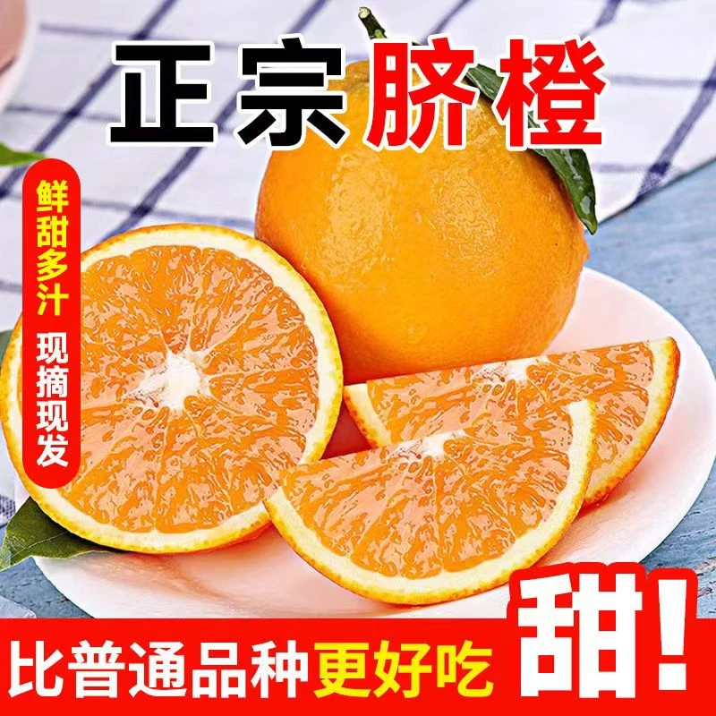 甄选自营 | 鲜丰甄选赣南脐橙甜蜜多汁新鲜水果现货速发