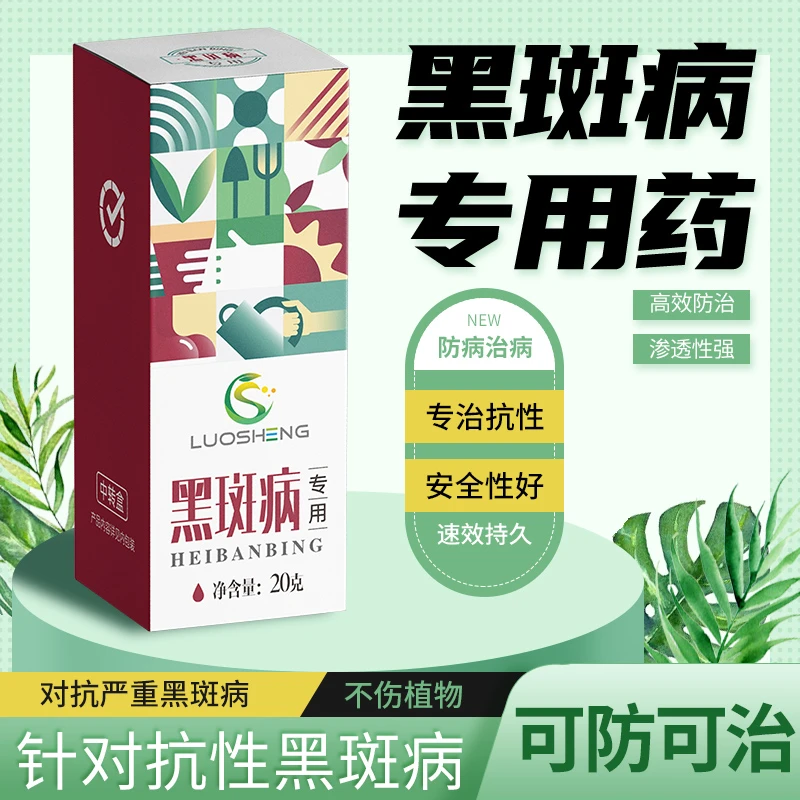月季黑斑白粉白病腐锈病黑星炭疽专用药玫瑰花卉绿植果蔬叶斑病