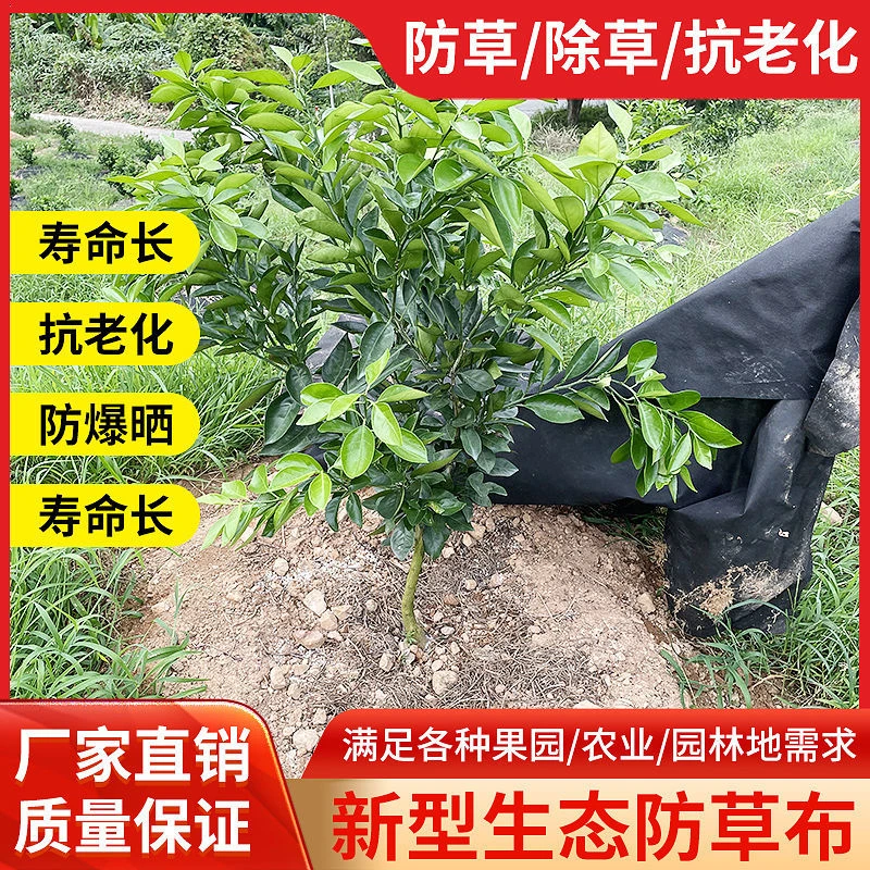 农用防草布除草布果园单张保湿地膜果树加厚隔草盖草布小树遮草布