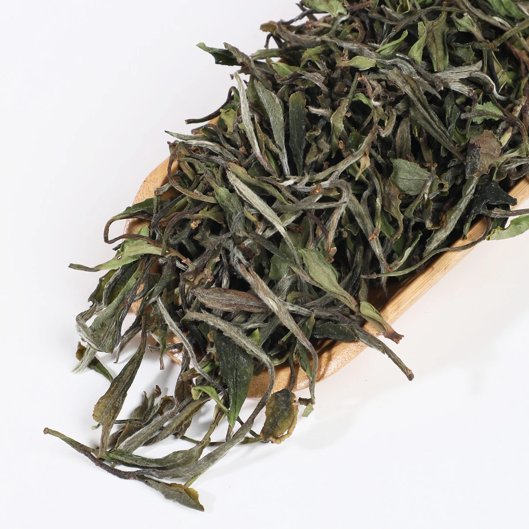 福鼎白茶  2021年荒野小菜贡散茶