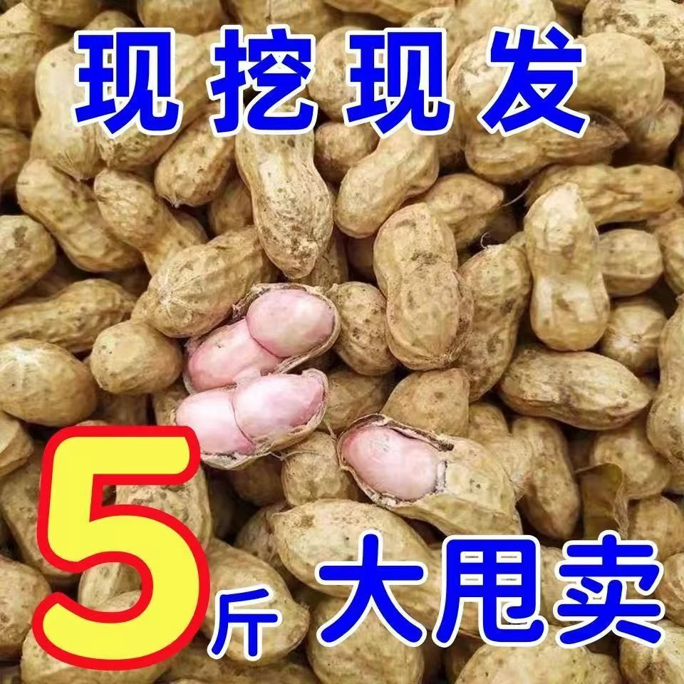 24年小白沙自种新鲜现挖现发非转基因带泥脆甜水煮花生健康好吃