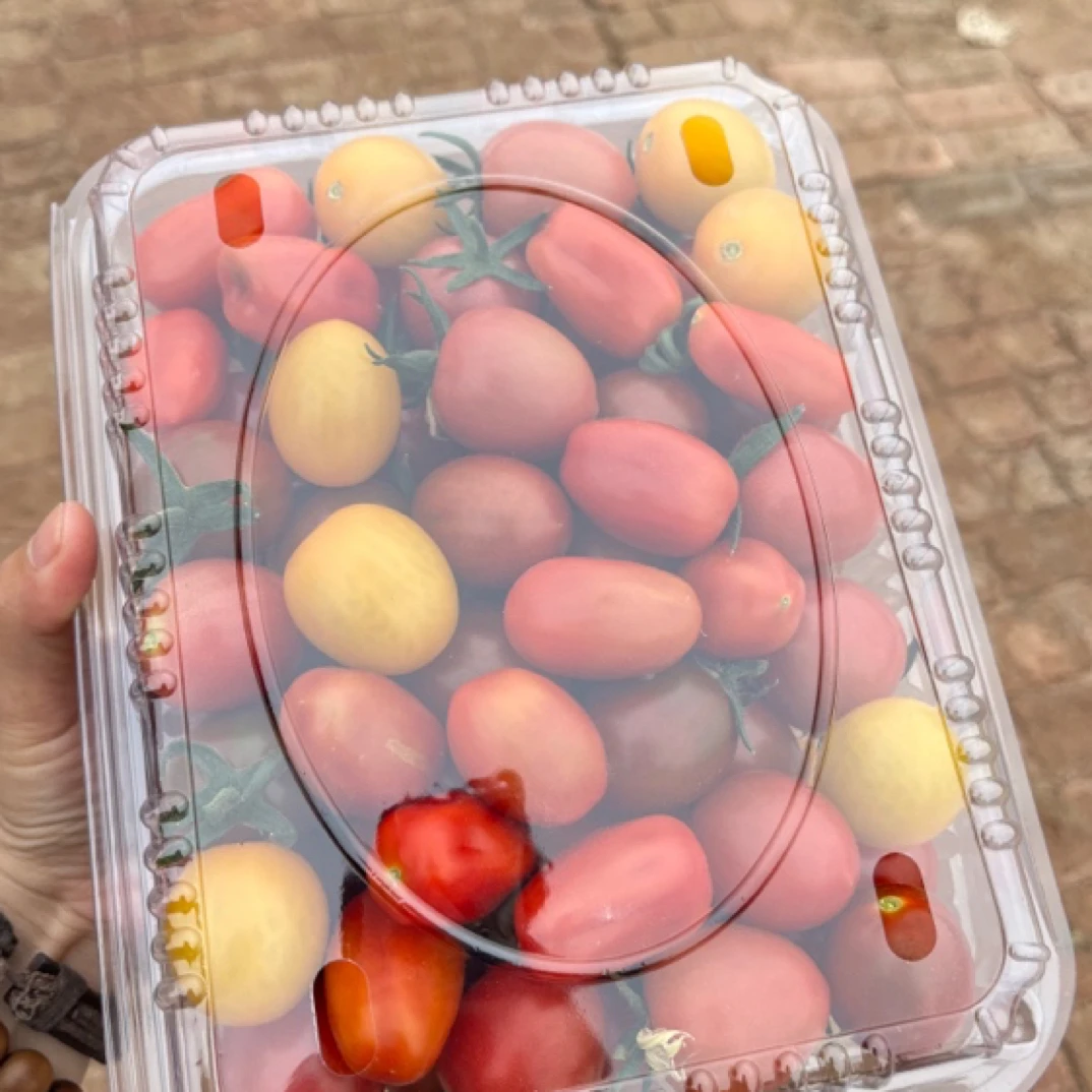 缤纷圣女果  五斤装  接单现摘