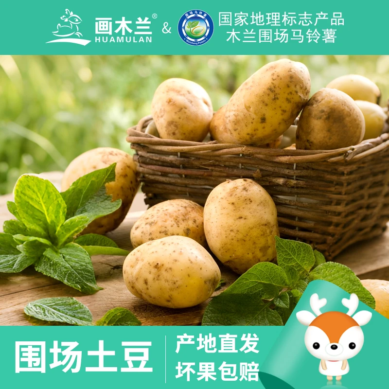 木兰围场土豆京东发货原产地直发围场马铃薯之乡国家地质标志产品