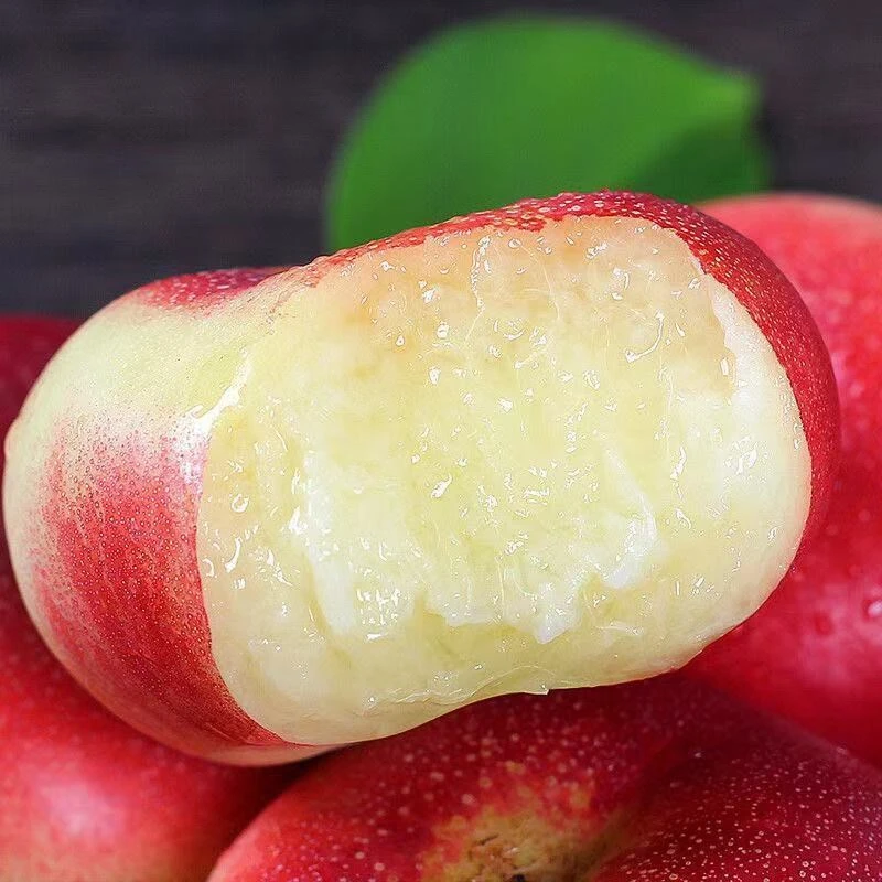 王母蟠桃树苗嫁接新品种特大蟠桃树南北方种植盆栽地栽苗抗旱耐寒