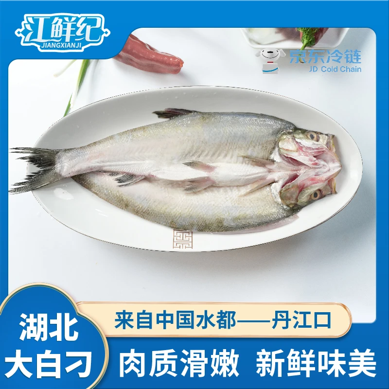 丹江翘嘴鱼（350-400g/条）*5条湖北特产大白刁翘嘴鲌淡水鱼鲜美