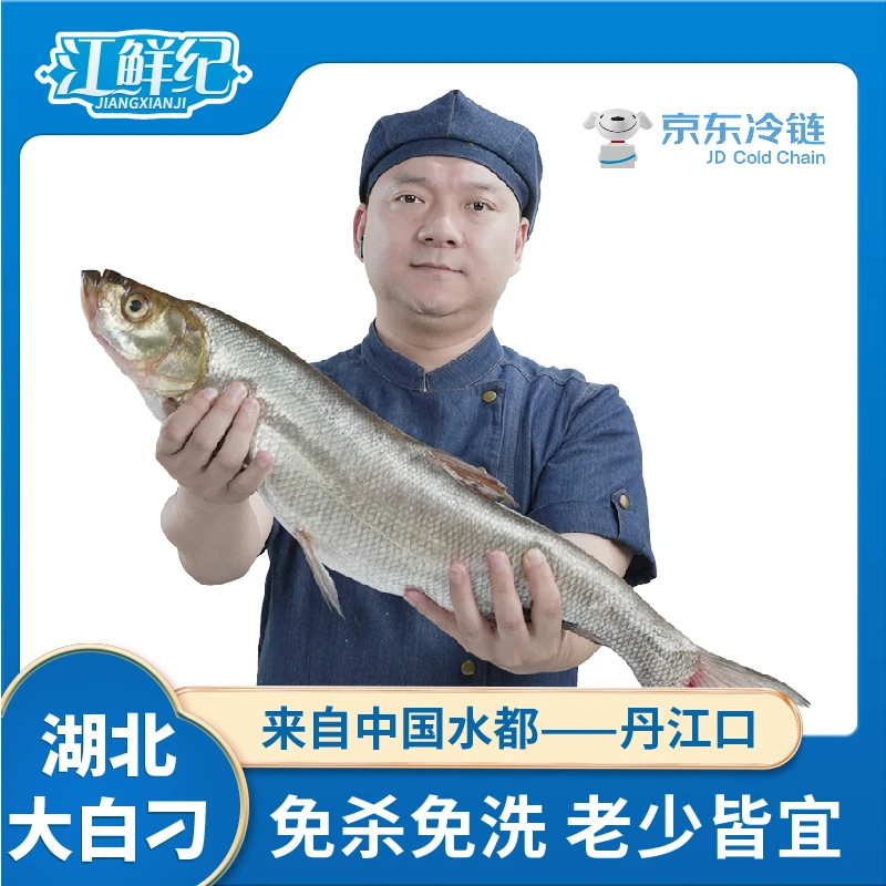 1000g/条丹江口特产新鲜淡水大白刁翘嘴鲌冷水鱼白鱼8-10人畅享
