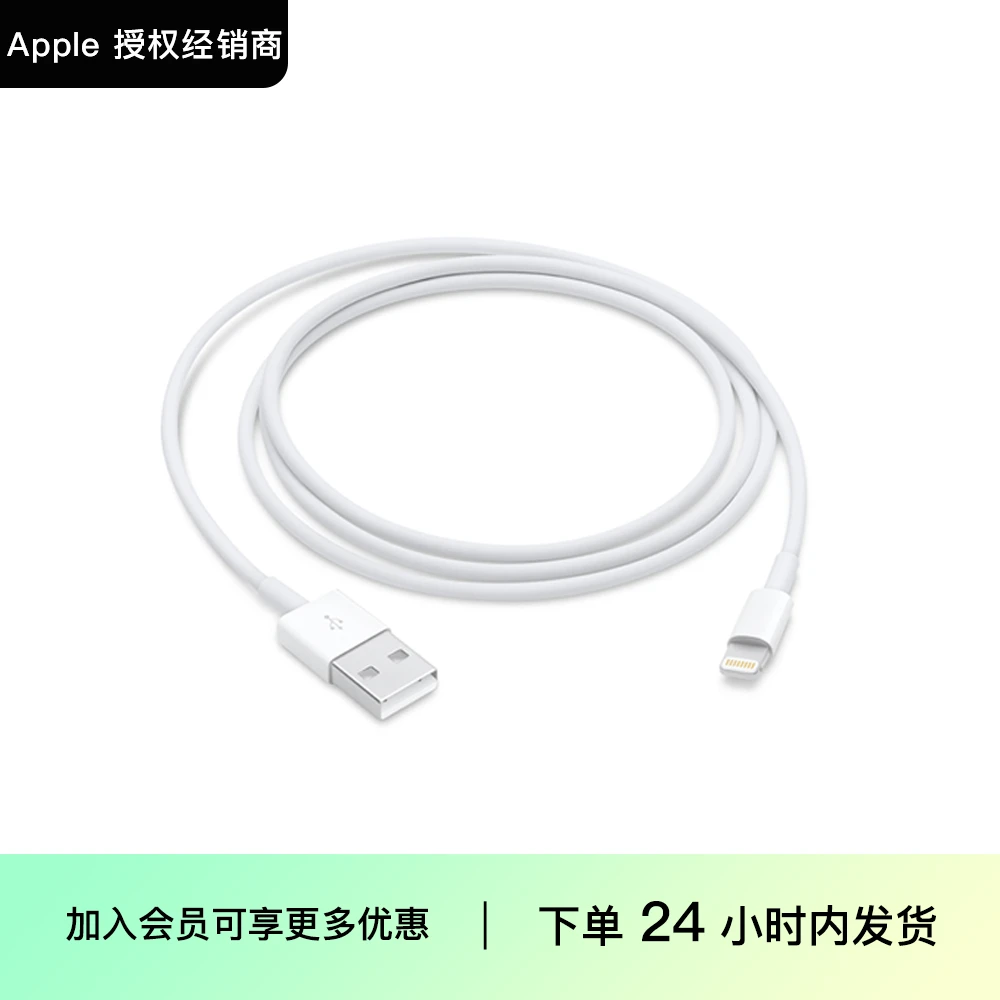 Apple 闪电 转 USB 连接线 (1米)