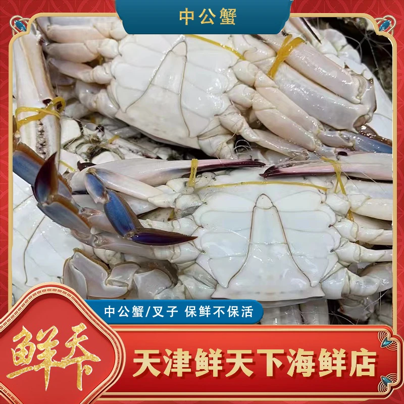【保鲜不保活】断氧公蟹 每斤2-4只（单只2-5两）断养掉爪天津当日达