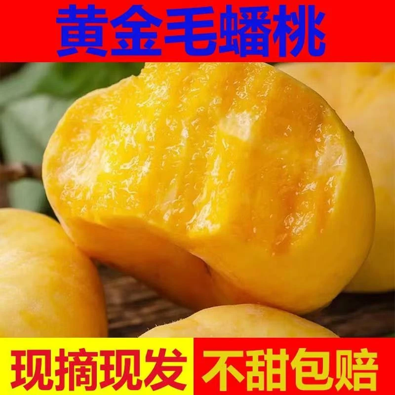 现摘山西黄金蟠桃黄桃多汁毛桃脆甜扁桃子新鲜孕妇水果时令水蜜桃