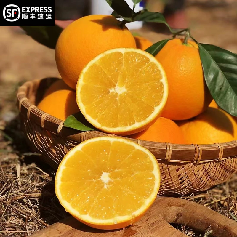 顺丰包邮纽荷尔赣南脐橙江西原产地发货新鲜橙子皮薄现摘阳光水果