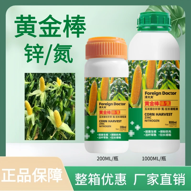 洋大夫玉米用叶面肥提产曾收壮苗抗倒玉米拉长膨穗素玉米黄金棒