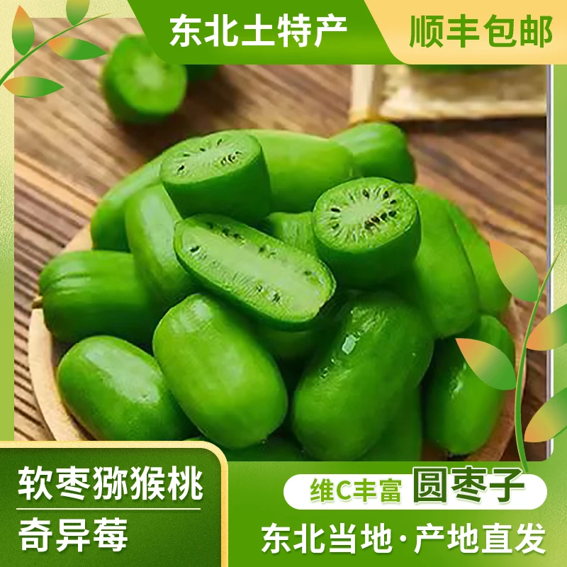 东北软枣子猕猴桃奇异莓新鲜圆枣子现摘现发3斤顺丰包邮