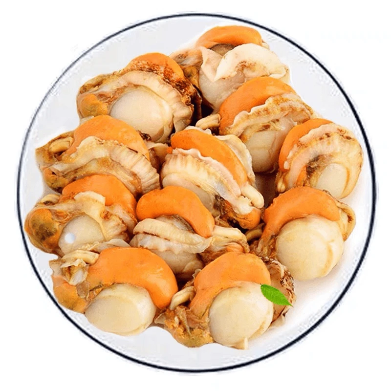 赣榆渔船发货海洋黄金贝扇贝肉 17包