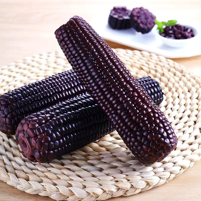 花青素之王【工厂高端黑玉米】正宗东北黑糯玉米240g/根*8根+送2根