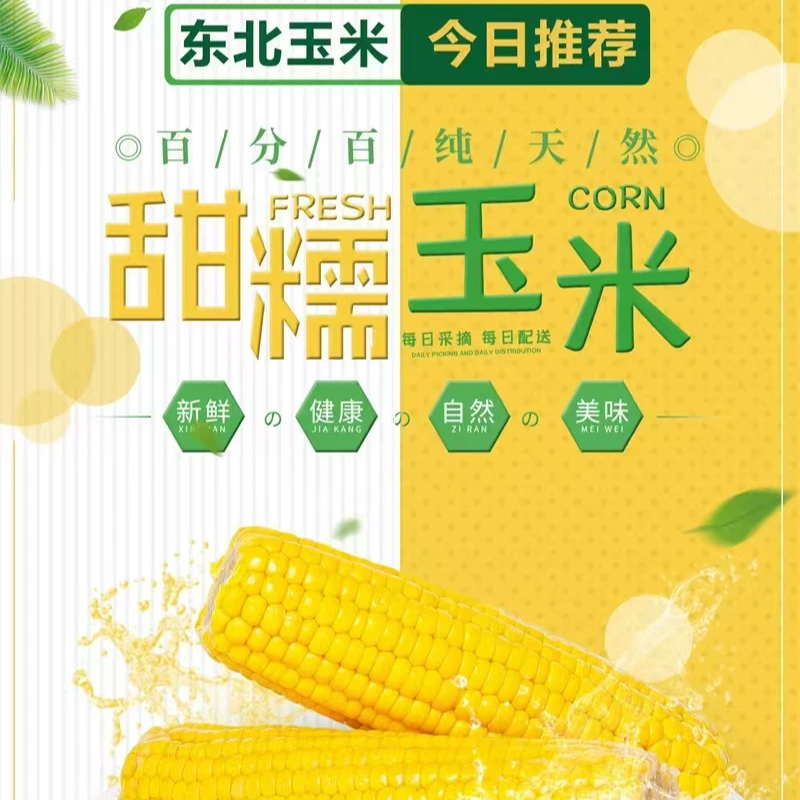 巨沃【工厂直营高端黄玉米】正宗东北黄糯玉米240g/根*8根+送2根