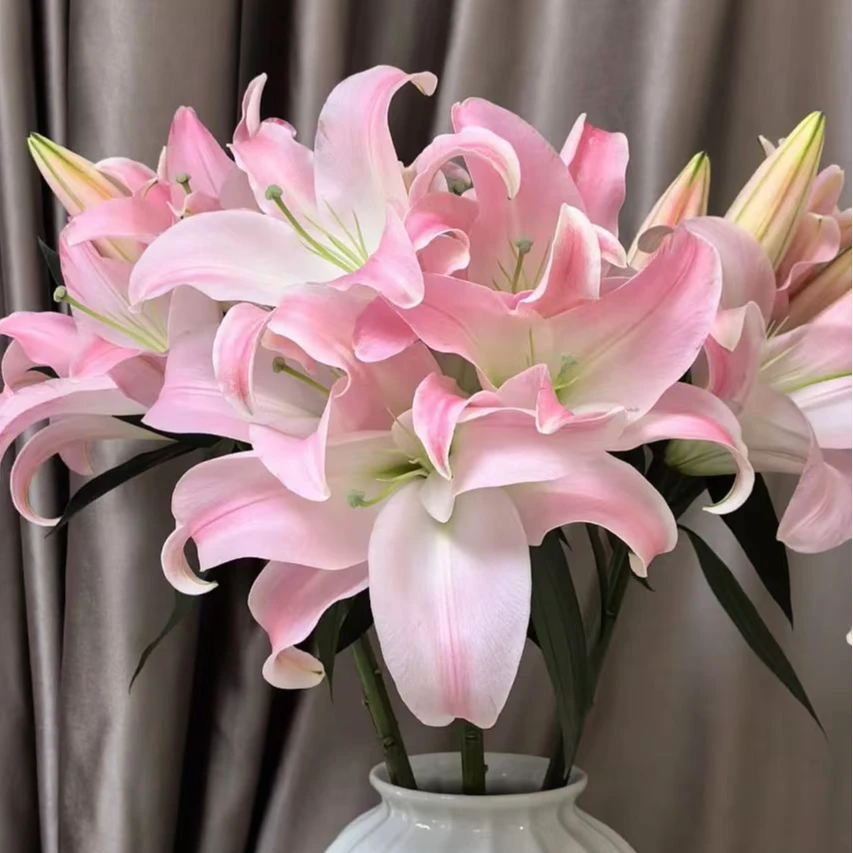 【鲜花坊甄选】双头星光百合 店内现货