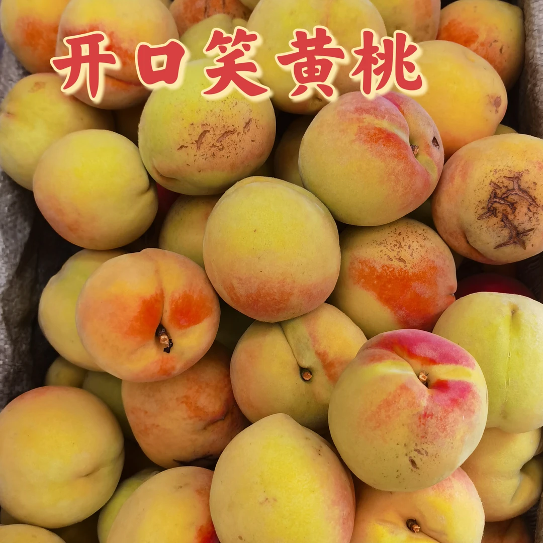 湖南麻阳锦绣黄桃开口笑黄桃露天黄桃新鲜水果香甜5斤装包邮薄皮