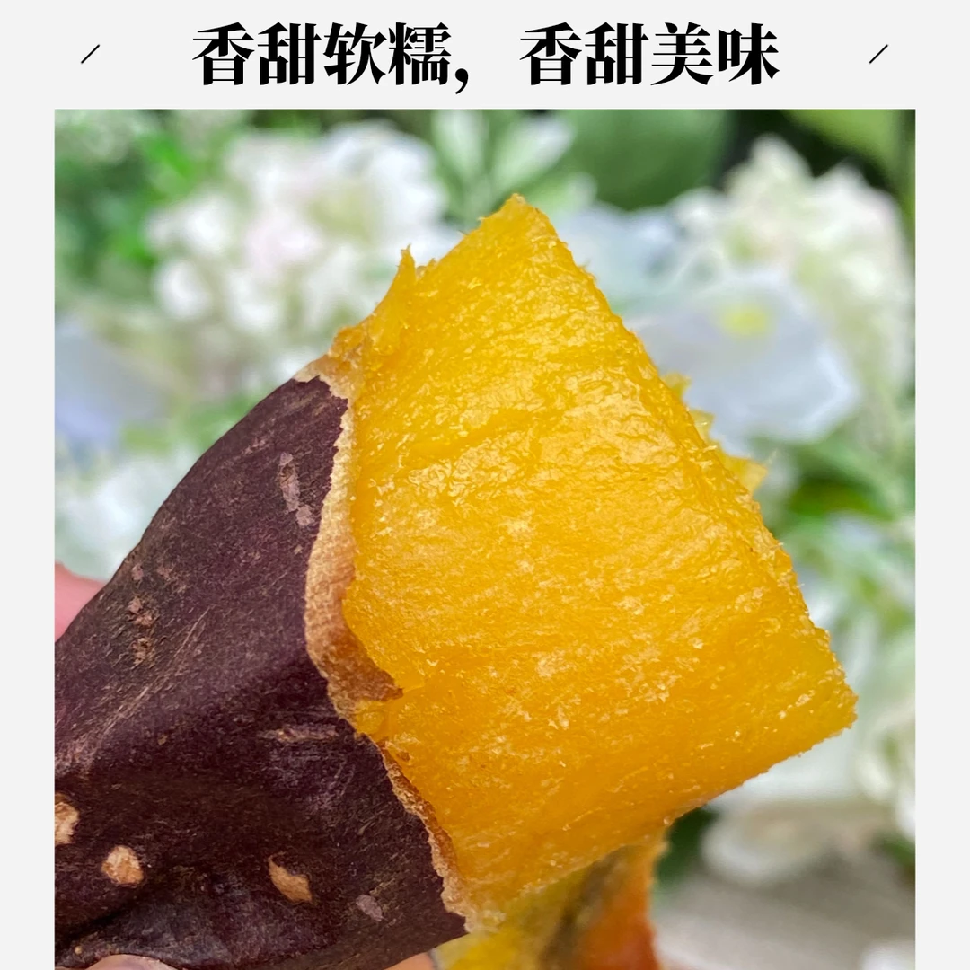 云南红薯塔塔蜜蜜薯地瓜番薯健康新鲜红薯皮薄软糯香甜无丝地瓜