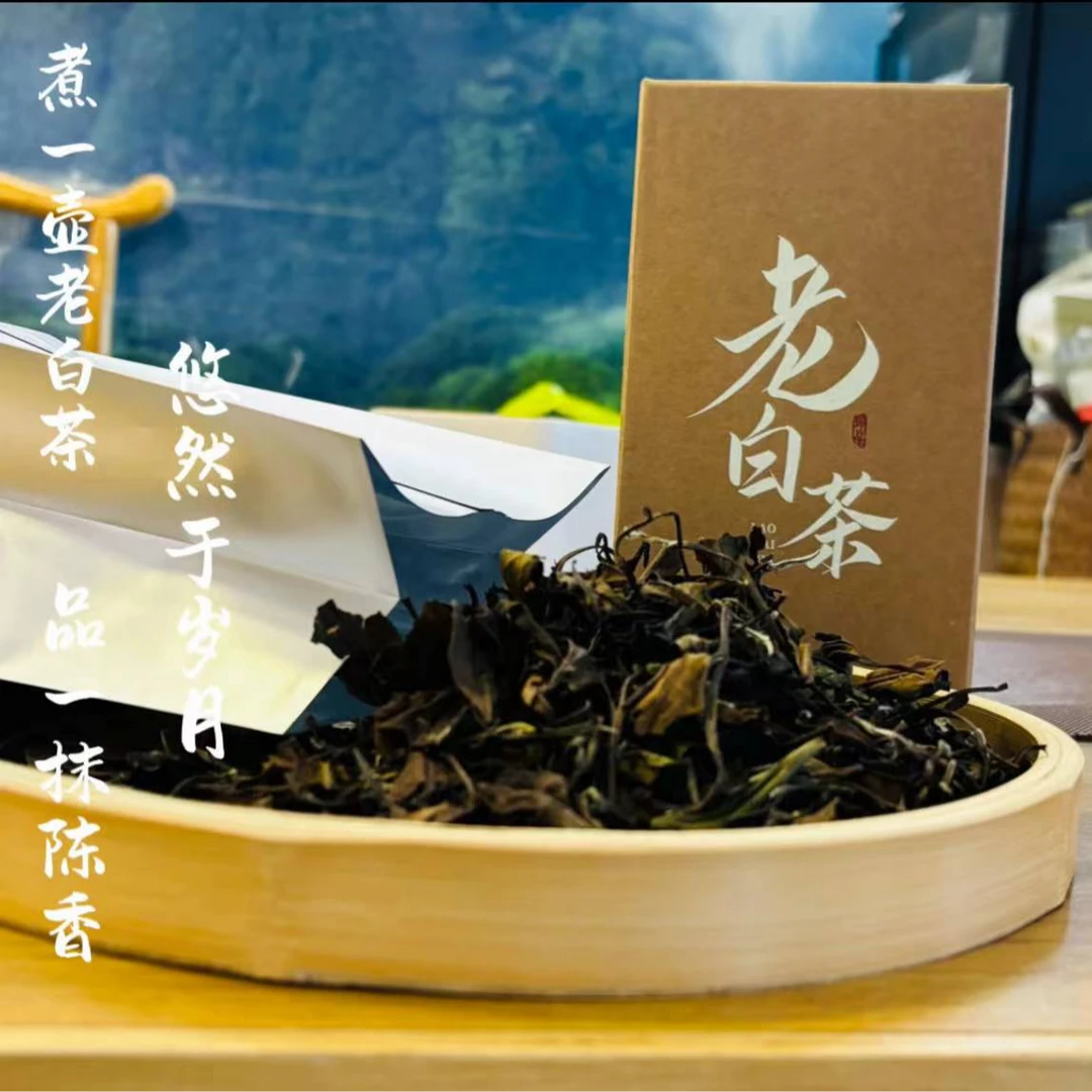 2024年冬奥会基地新茶老茶组合