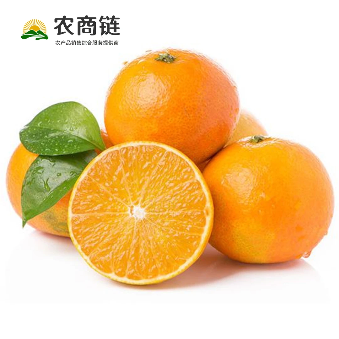 【中通快递】四川正宗爱媛38号果冻橙 5/8斤装新鲜采摘皮薄肉厚香甜果汁果肉细腻化渣