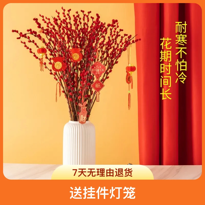 银柳真花鲜枝条年宵花精品耐寒精品