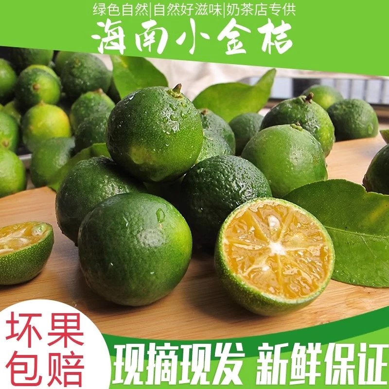 新鲜小青柠海南小金桔皮薄青金桔柠檬5斤包邮榨汁调味多汁精选