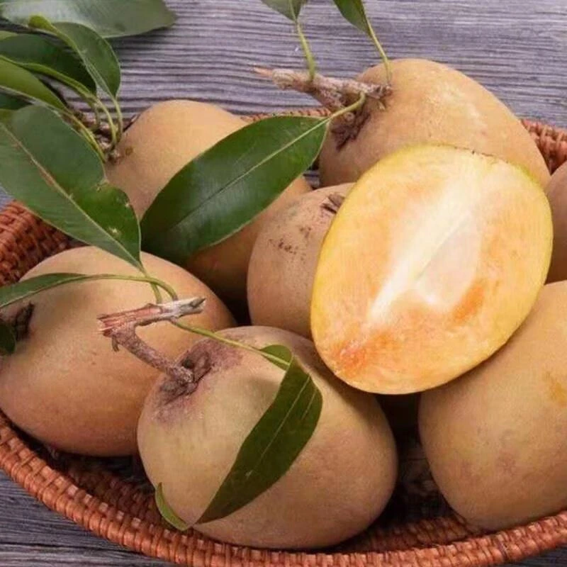 海南人心果新鲜当季整箱孕妇水果现摘稀罕见养生人参果现货速发鲜