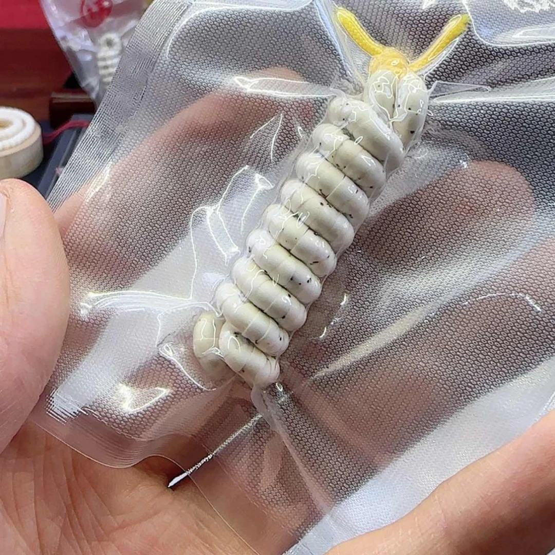 【闪购商品】星月菩提吊坠54，找星星大肠