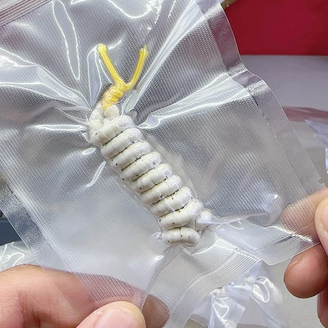 【闪购商品】星月菩提吊坠54，大肠，天花板“25号”