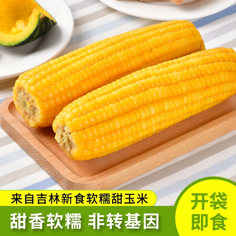 东北玉米棒非转基因糯米玉米独立真空包装黄玉米香糯