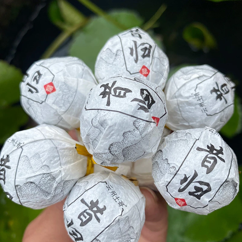 云南临沧23年昔归头春忙鹿山正山古树龙珠8g手工