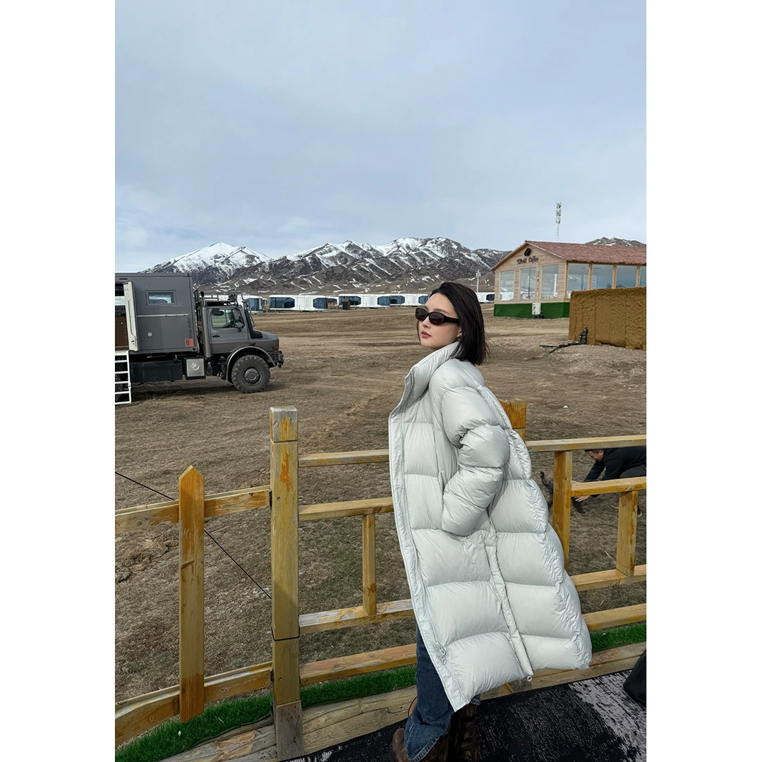 FORNI 恒温层生物 90白鸭绒蓬松保暖max极简高领长款羽绒衣