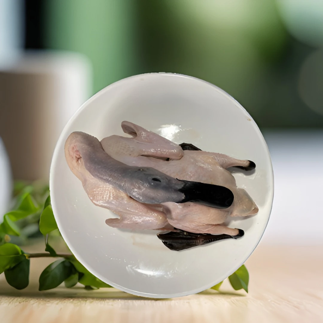 新鲜食用正宗连城白鸭白鹭鸭农村山间散养每只850g老鸭子农家土鸭