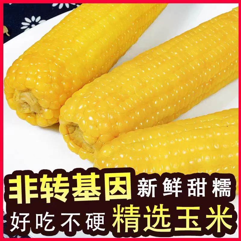 徽常好丨崔万志助农—2023头茬黄糯玉米200g*12穗.  真空包装