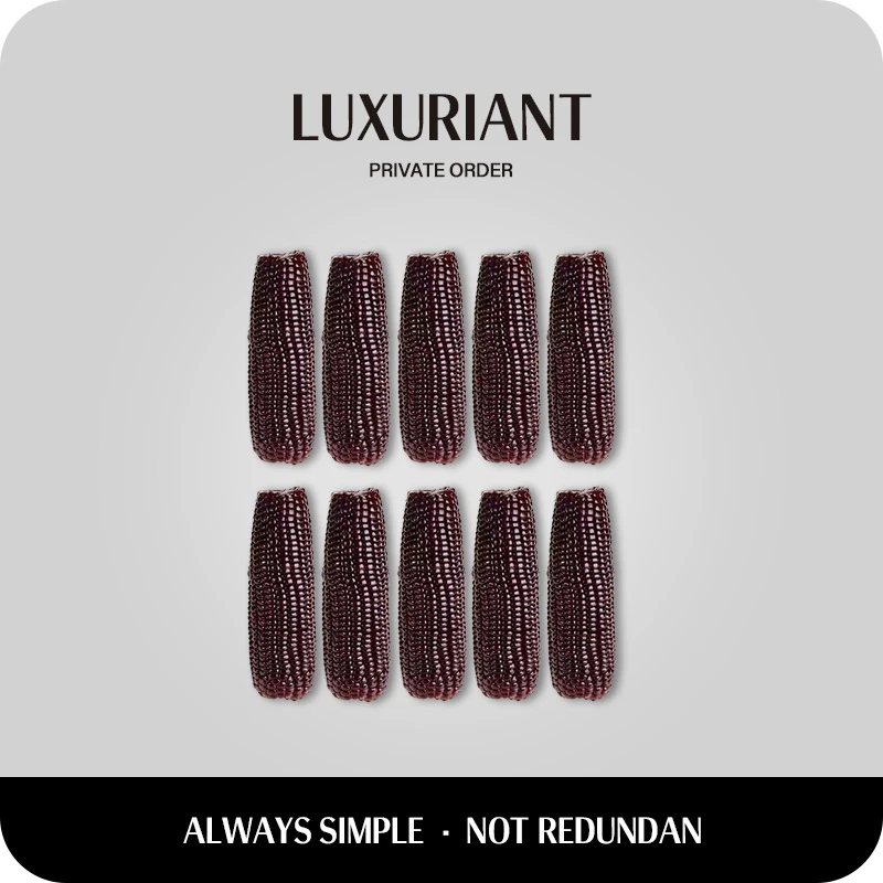 徽常好|黑糯玉米&安徽省农科院 珍珠糯28头茬号黑糯玉米10根健康