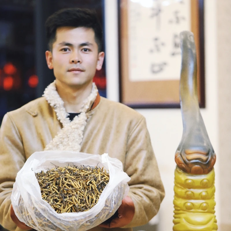 【4根/克】西藏小艾  西藏那曲比如冬虫夏草自吃送礼