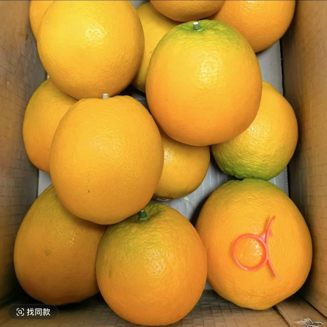 湖北宜昌脐橙纽荷尔橙子当季水果