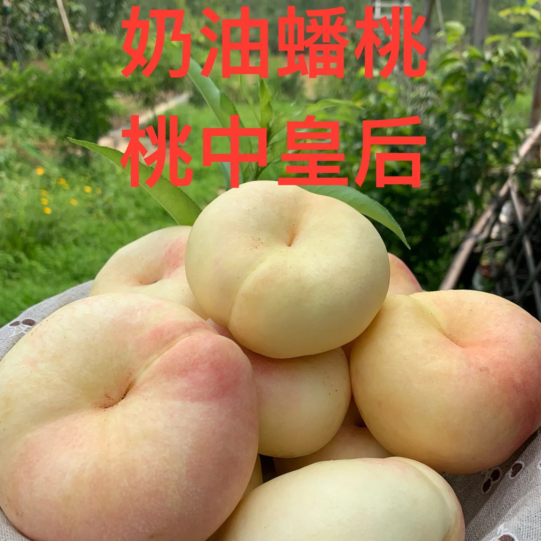 奶油蟠桃甜桃新鲜桃孕妇解馋时令清香清香甘甜
