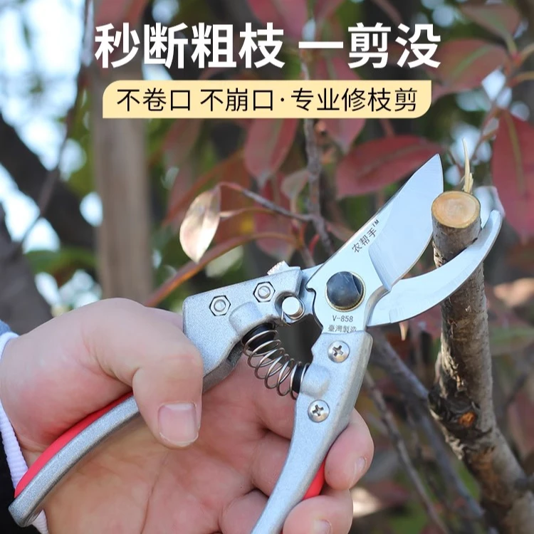 农帮手艺剪树枝果树果枝修枝剪花剪园林花艺强力省力粗枝剪子