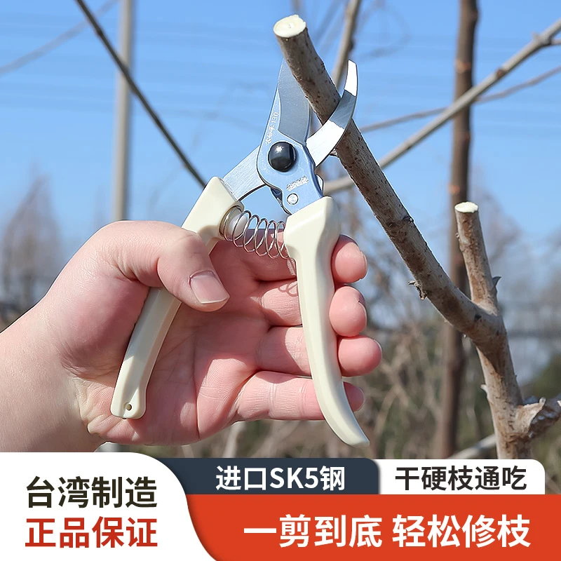 台湾进口农帮手艺剪树枝果树果枝修枝剪花剪园林花艺省力粗枝剪子
