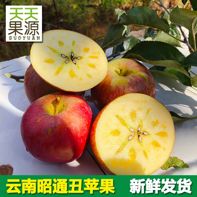 产地货源 云南昭通苹果2-10斤装冰糖心丑苹果红富士花牛批发一件