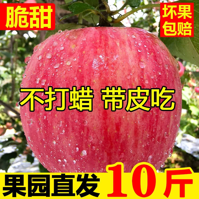 【新店抢购】正宗红富士苹果2-10斤脆甜头茬冰糖心当季新鲜孕妇水