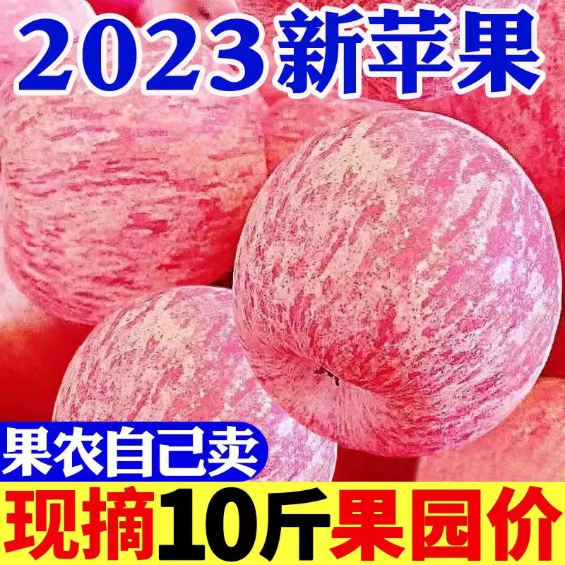 陕西正宗苹果红富士洛川苹果冰糖心2/5/10斤红富士苹果新鲜好吃