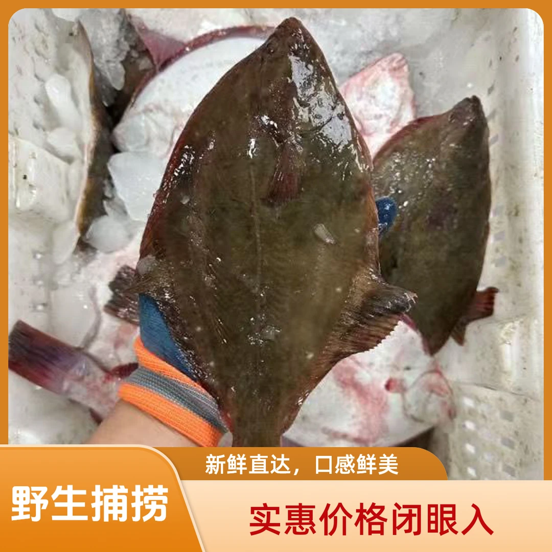 野生 石浆鱼   顺丰发货