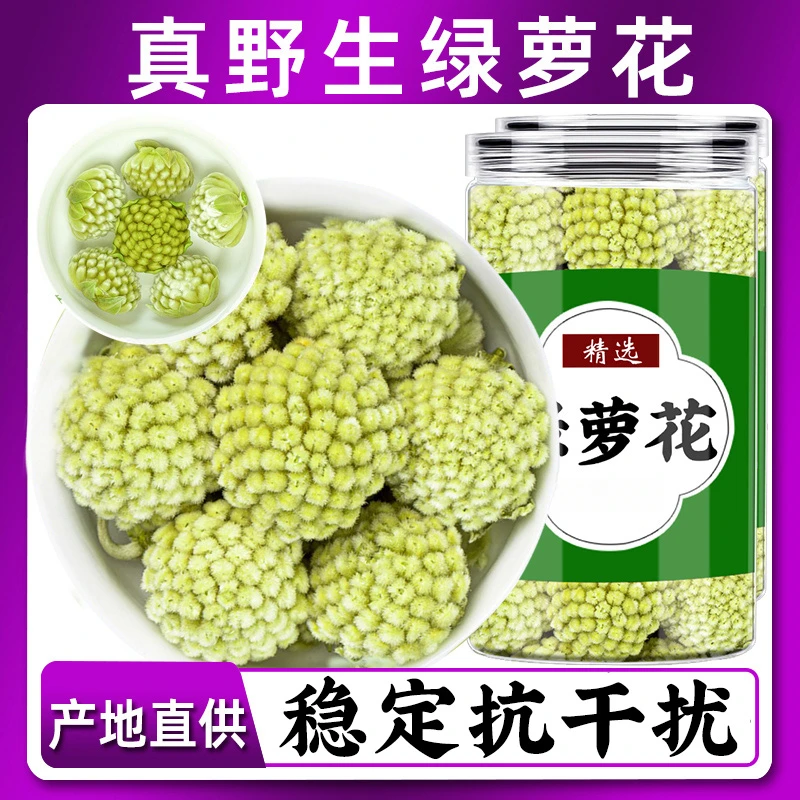 精选原料绿萝花西藏新货中材雪丽花绿落花绿箩花绿可搭桑葚