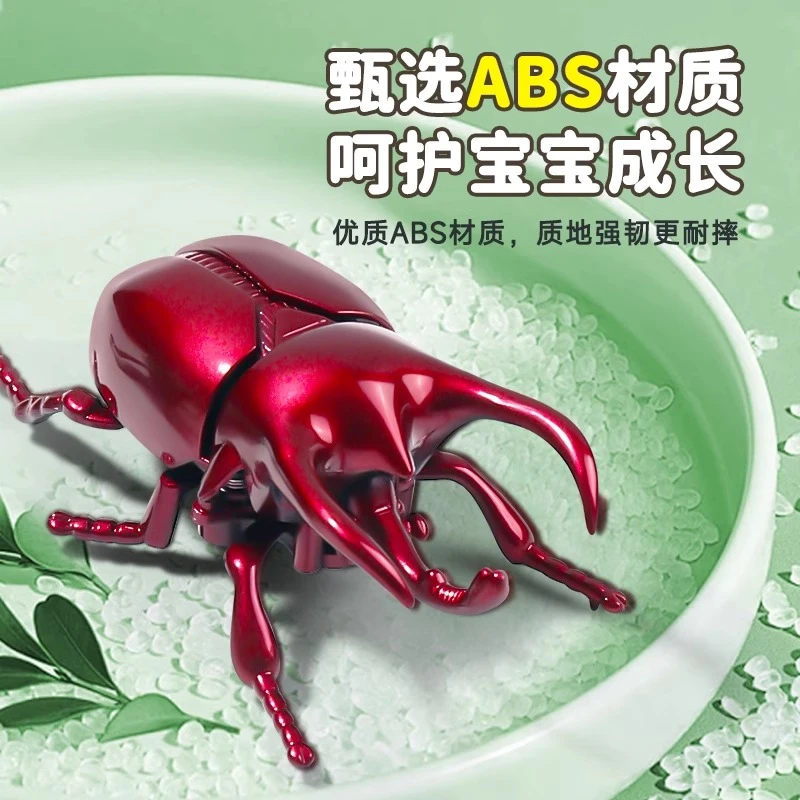 发条甲虫玩具昆虫甲壳虫仿真动物独角仙虫子机械模型男孩女孩玩具