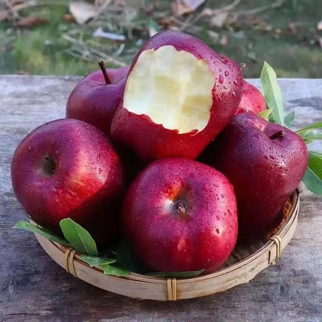 甘肃天水花牛苹果蛇果自然采摘脆粉两吃新鲜多汁老少皆宜天然催熟