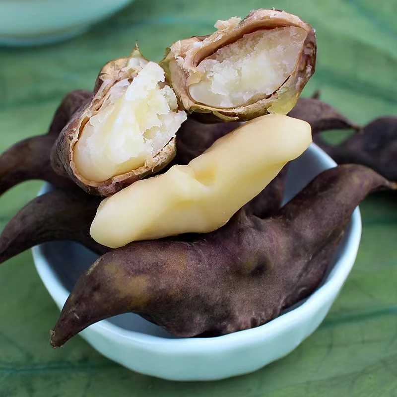 湖北仙桃特产新鲜农产品食用粉糯生莲角洪湖黑老菱角湖1/3/5斤装
