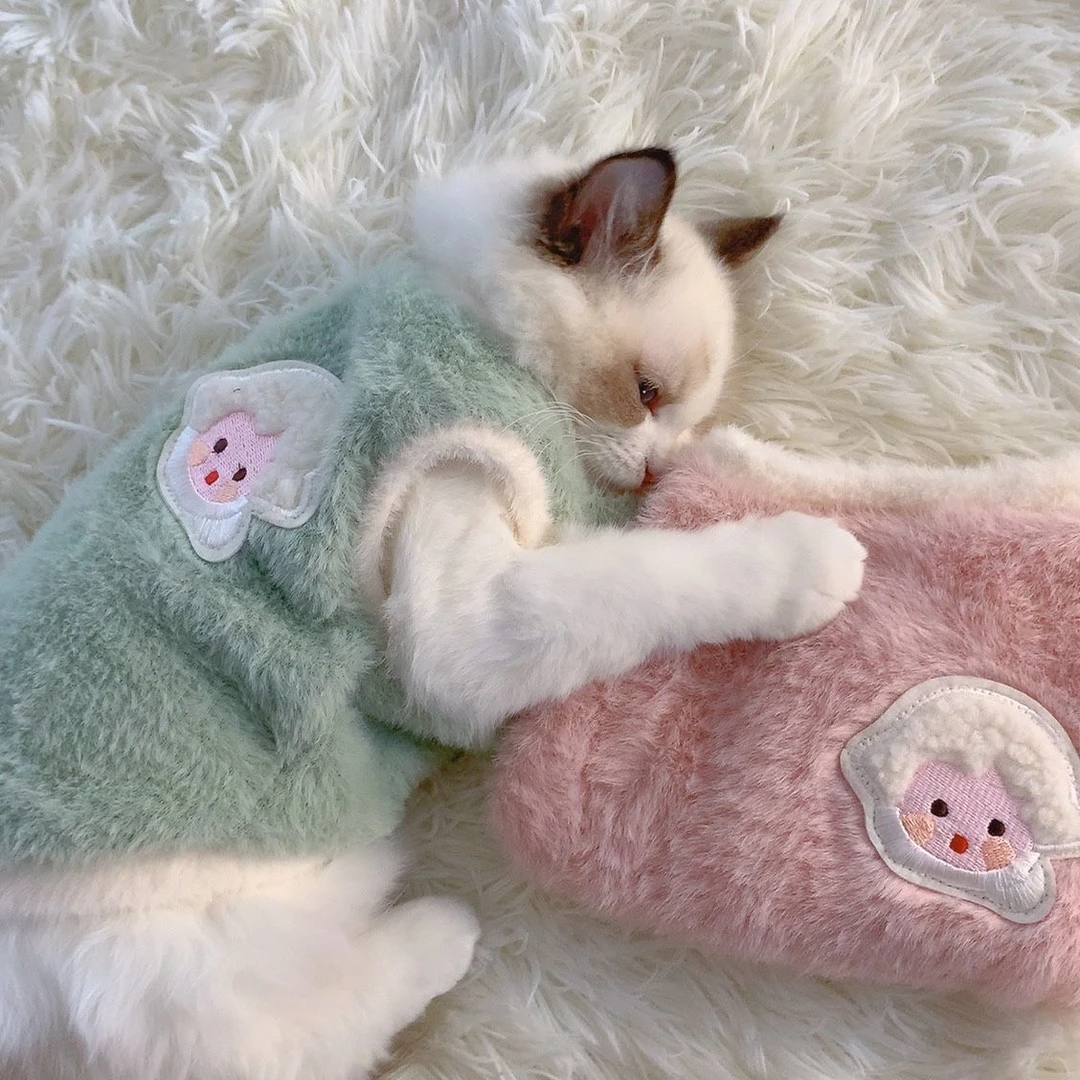 可爱秋冬季猫咪衣服狗狗冬保暖加厚背心防掉毛布偶宠物衣服小型犬