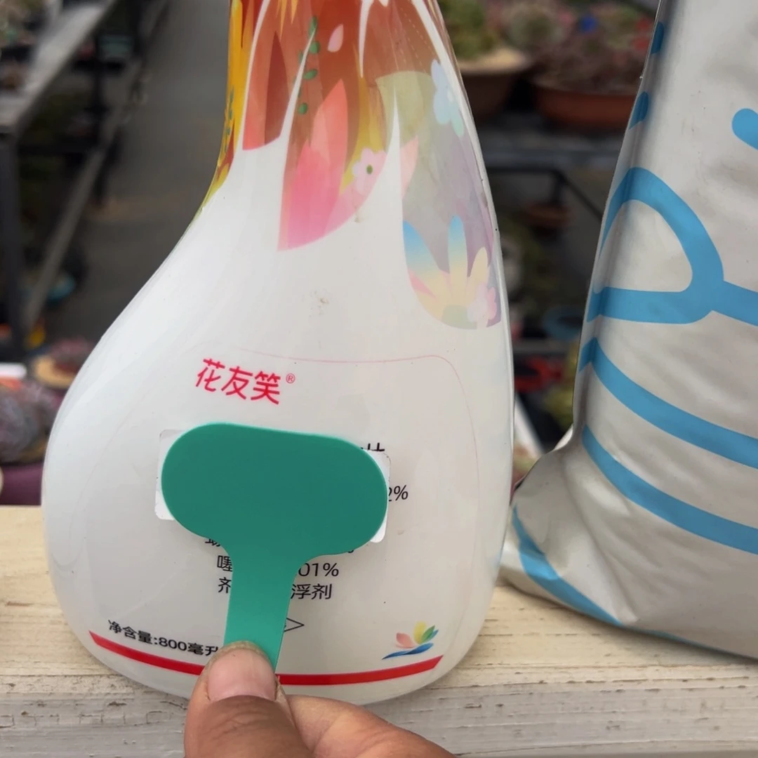 花友笑多肉编号1001-